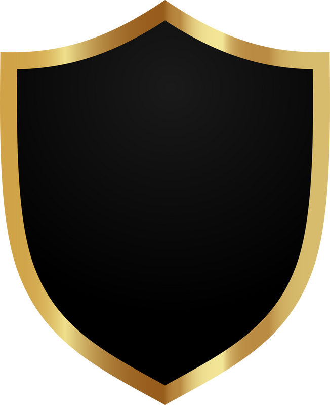 Black and Gold Shield